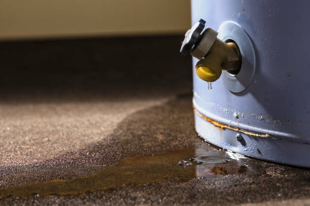 Best Water damage mitigation services  in Tipton, IN