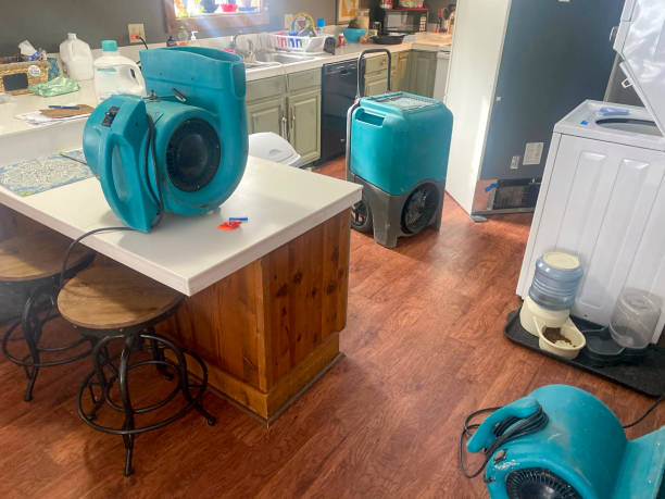 Best Water damage restoration specialists  in Tipton, IN