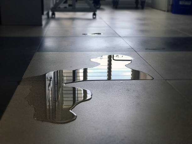 Best Water damage cleanup near me  in Tipton, IN