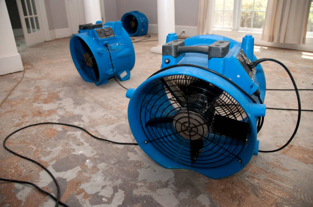 Best 24/7 water damage repair  in Tipton, IN
