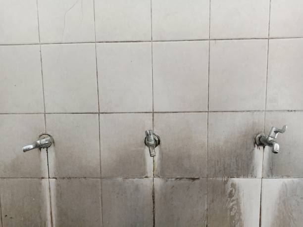  Tipton, IN Water damage restoration Pros